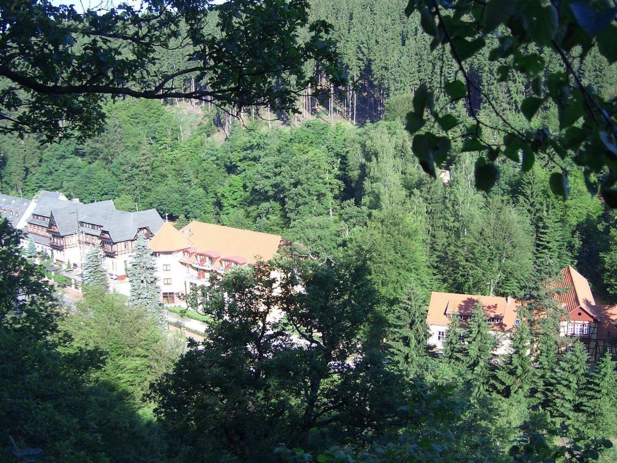 Hotel Habichtstein Алексисбад Экстерьер фото