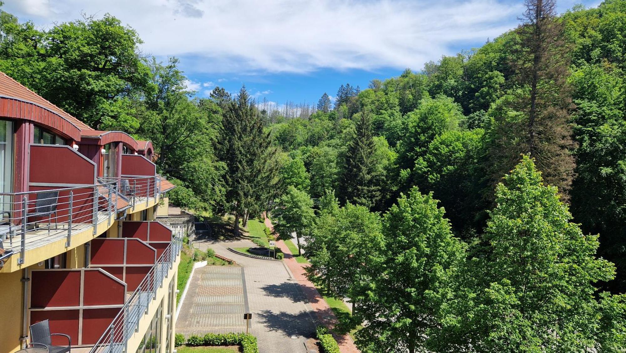Hotel Habichtstein Алексисбад Экстерьер фото